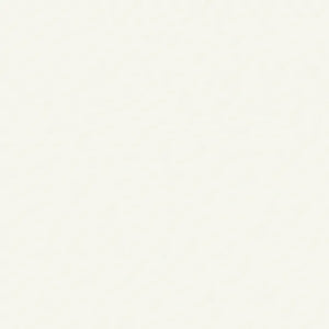 1573 Wilsonart Frosty White (-60) HPL 4X8 Laminate Sheets | Durable Solids & Optical Solids Laminate for Countertop, Cabinet & Furniture - Plaiwoo