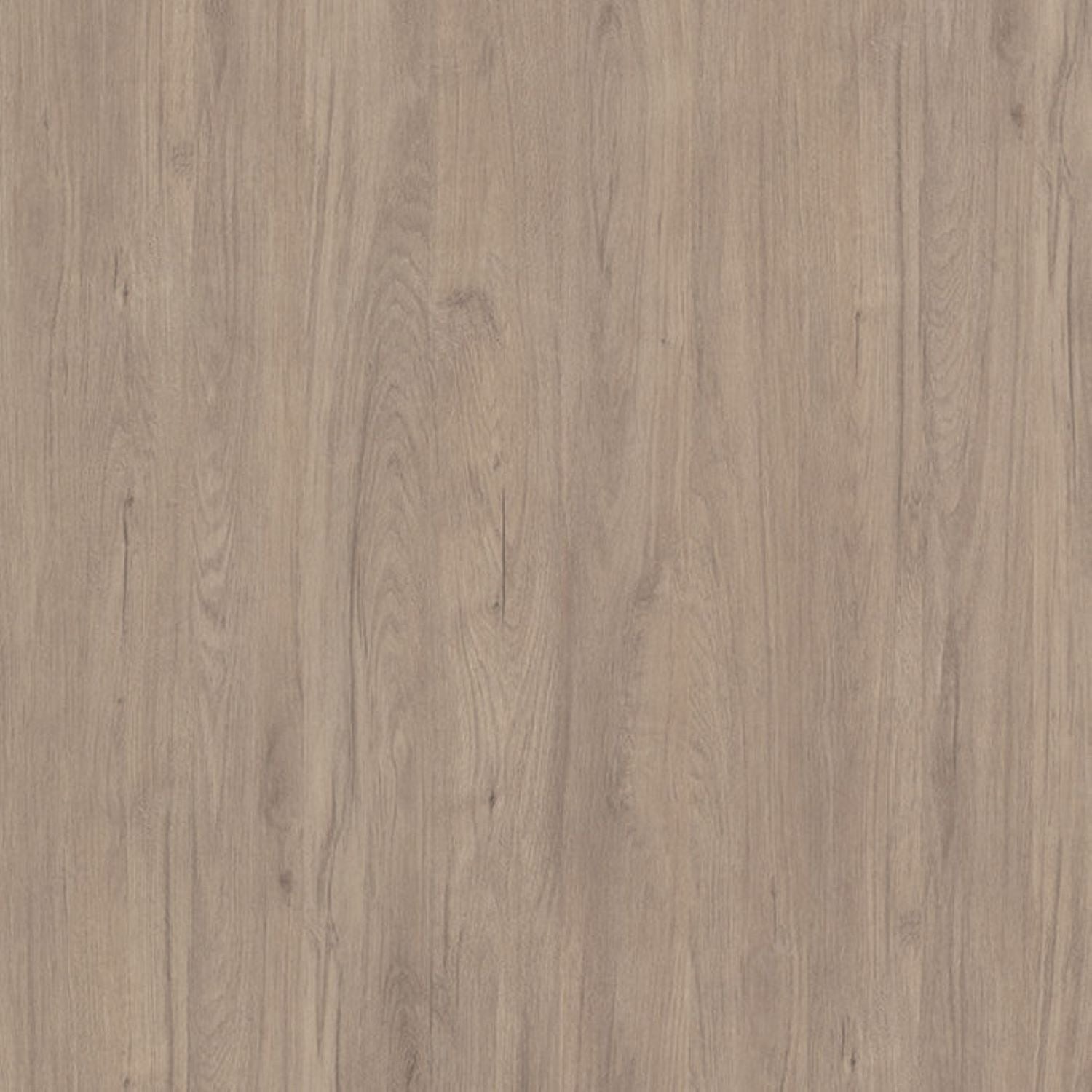 Finsa Roble Denver Duo Melamine TFL Panel (3/4 in x 4 ft x 8 ft)