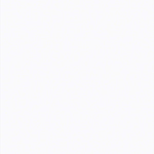 Finsa Blanco Artico Duo Melamine TFL Panel (5/16 in x 4 ft x 8 ft)