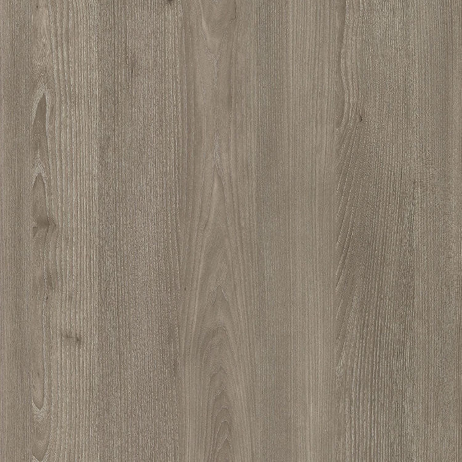 Finsa Fresno Plata Studio Melamine TFL Panel (5/16 in x 7 ft x 9 ft)