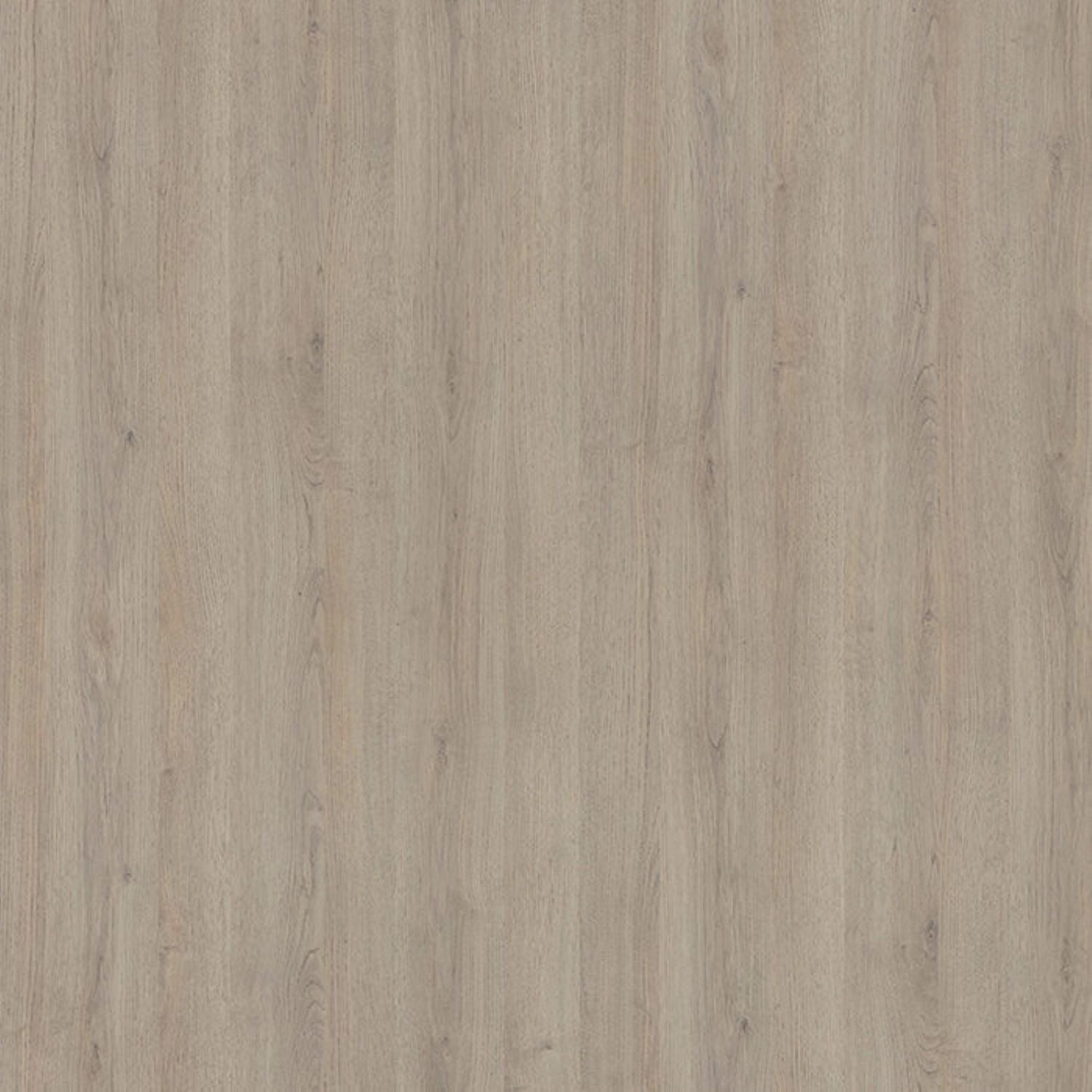 Finsa Roble Alabama Studio Melamine TFL Panel (5/16 in x 7 ft x 9 ft)